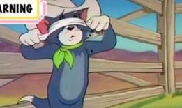 火影汤姆爆料视频,揭秘忍者世界背后的惊人真相！